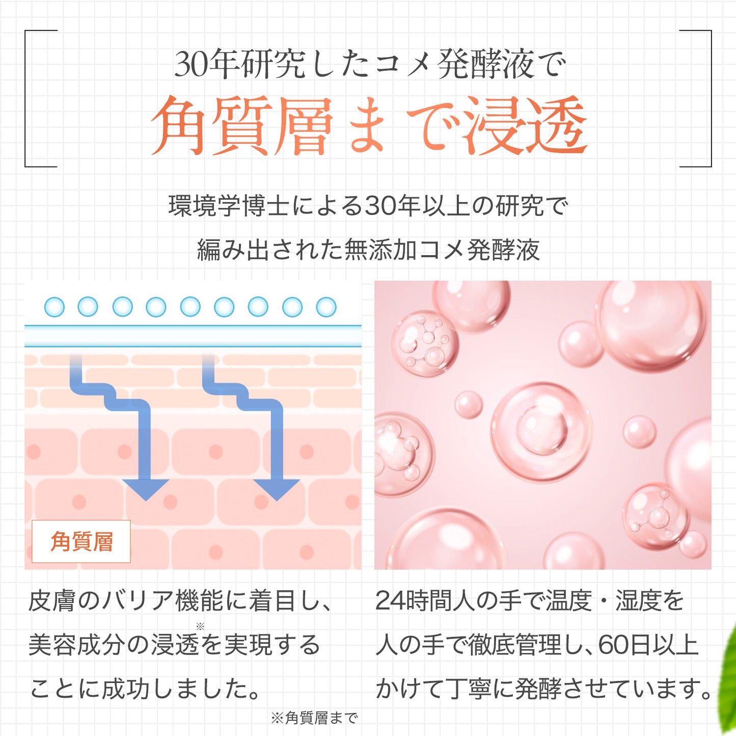 DR.アップセラム